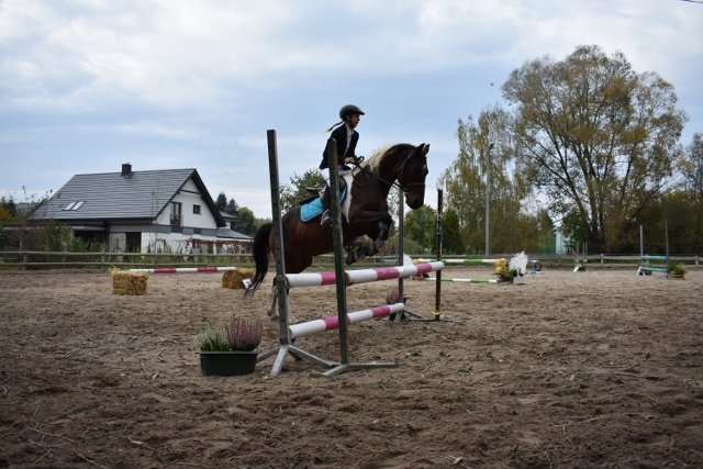 bABIE lATO 2018